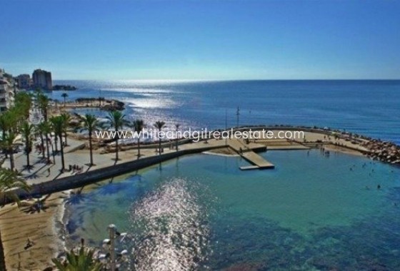 New Build - Villa  - Torrevieja - Aguas Nuevas