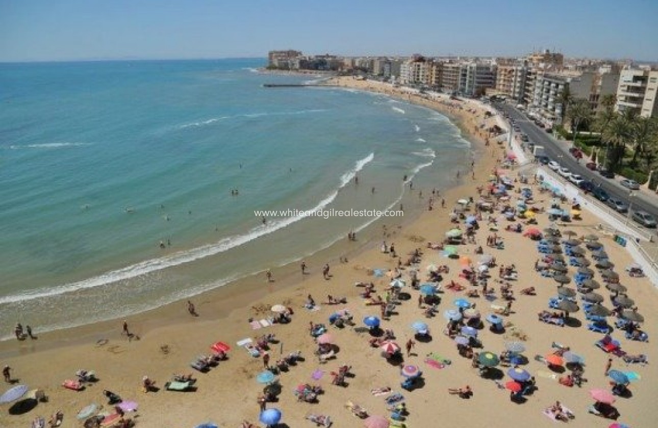 New Build - Villa  - Torrevieja - Aguas Nuevas