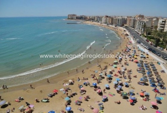 New Build - Villa  - Torrevieja - Aguas Nuevas