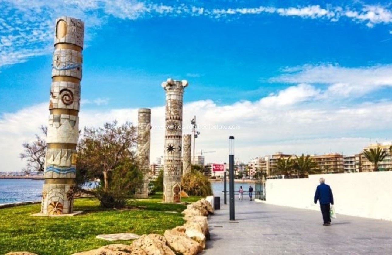 New Build - Villa  - Torrevieja - Aguas Nuevas