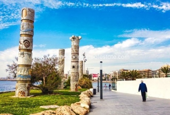 New Build - Villa  - Torrevieja - Aguas Nuevas