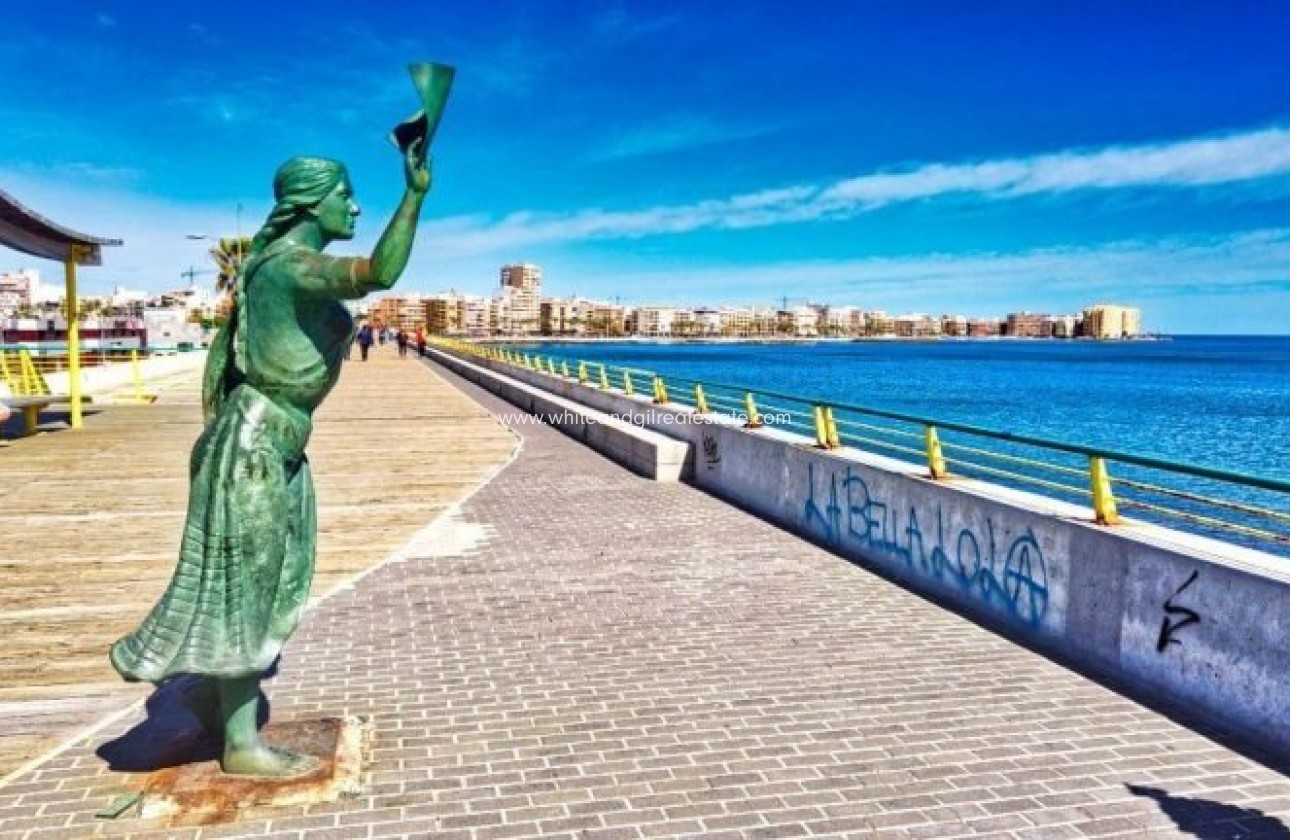 New Build - Villa  - Torrevieja - Aguas Nuevas