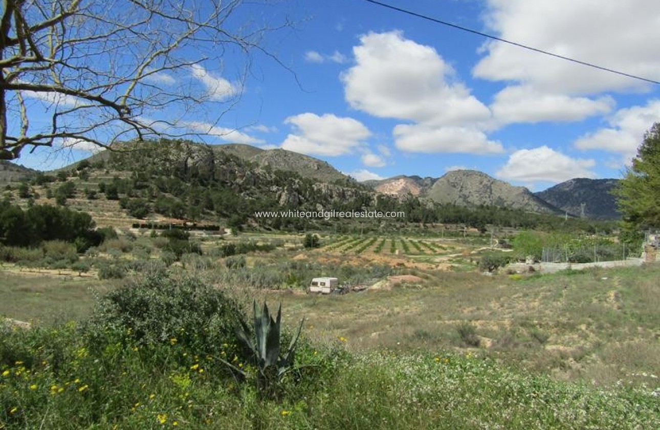 Revente - Maison troglodyte - La Romana