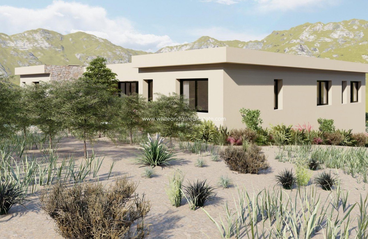 Nouvelle construction - Villa  - Yecla