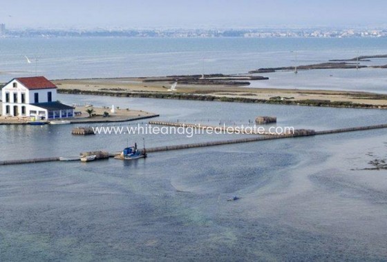 New Build - Villa  - San Pedro del Pinatar - Centro