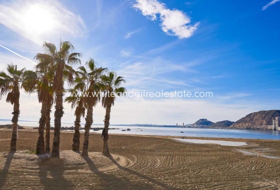 New Build - Villa  - Els Poblets - Partida Barranquets