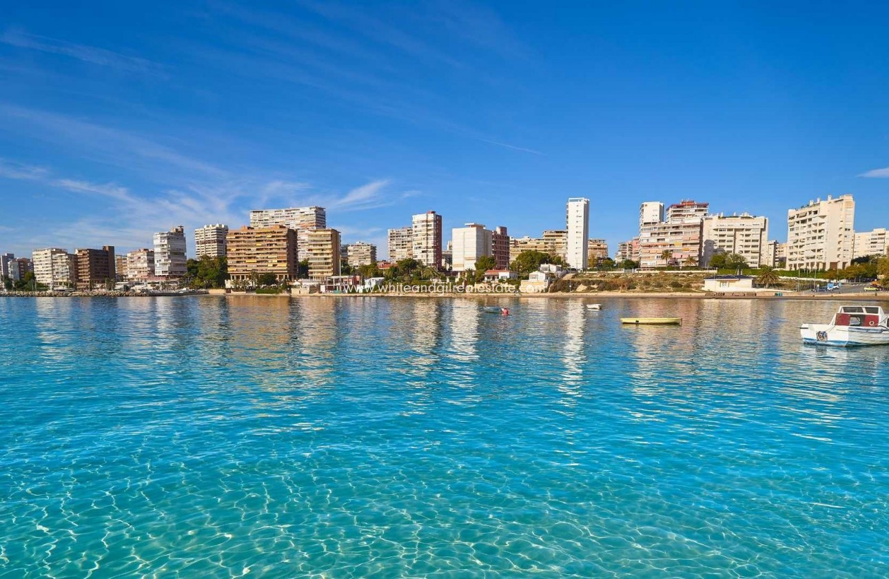 New Build - Villa  - Els Poblets - Partida Barranquets