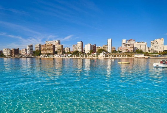 New Build - Villa  - Els Poblets - Partida Barranquets