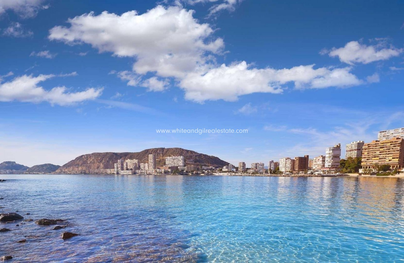 New Build - Villa  - Els Poblets - Partida Barranquets