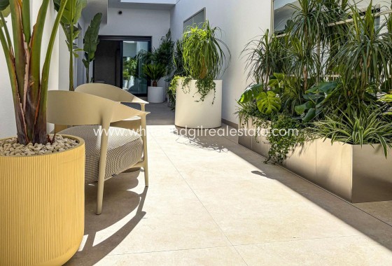 New Build - Villa  - Rojales - Ciudad Quesada