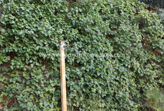 Revente - Villa  - La Sella Golf