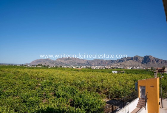 Sale - Villa  - Orihuela - Inland