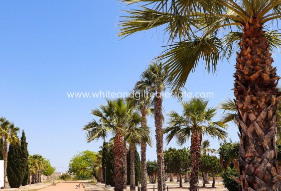 New Build - Villa  - Alicante - La Escuera