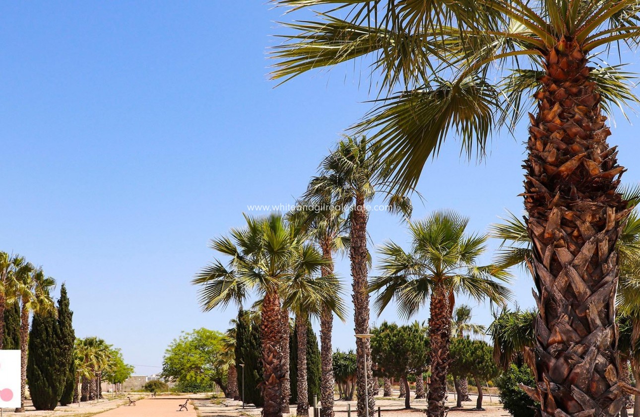 New Build - Villa  - Alicante - La Escuera