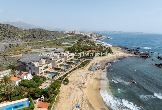 New Build - Villa  - Cuevas Del Almanzora - Cala Panizo