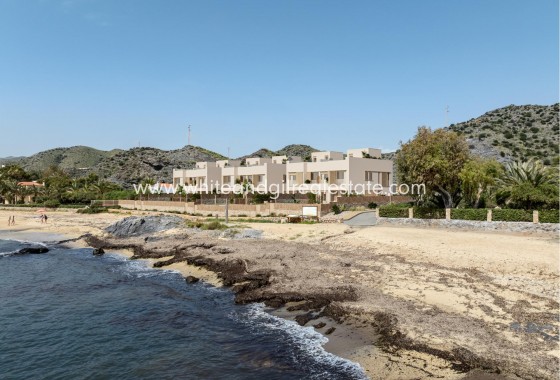 New Build - Villa  - Cuevas Del Almanzora - Cala Panizo