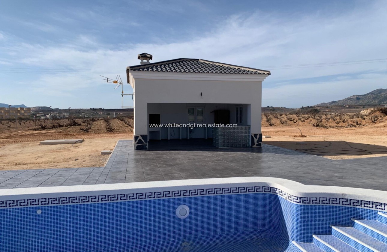 New Build - Villa  - Pinoso - Camino Del Prado