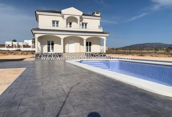 New Build - Villa  - Pinoso - Camino Del Prado