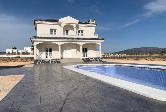 New Build - Villa  - Pinoso - Camino Del Prado