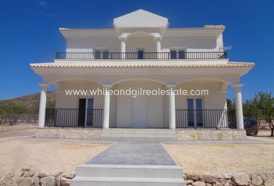 New Build - Villa  - Pinoso - Camino Del Prado