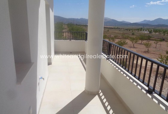 New Build - Villa  - Pinoso - Camino Del Prado