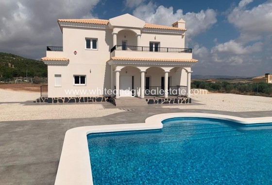 New Build - Villa  - Pinoso - Camino Del Prado