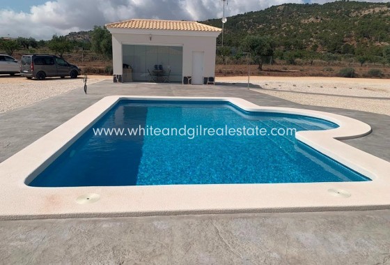 New Build - Villa  - Pinoso - Camino Del Prado