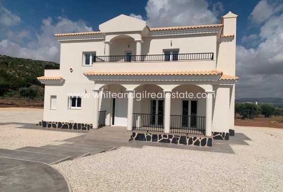 New Build - Villa  - Pinoso - Camino Del Prado
