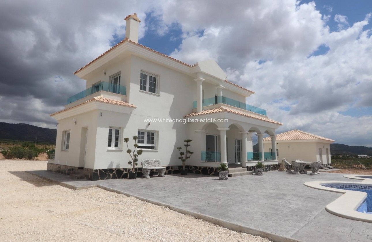 New Build - Villa  - Pinoso - Camino Del Prado