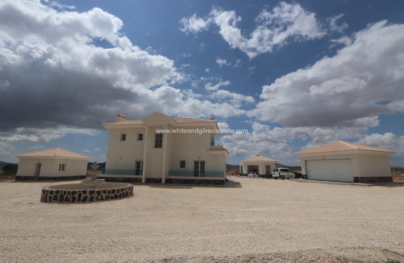 New Build - Villa  - Pinoso - Camino Del Prado
