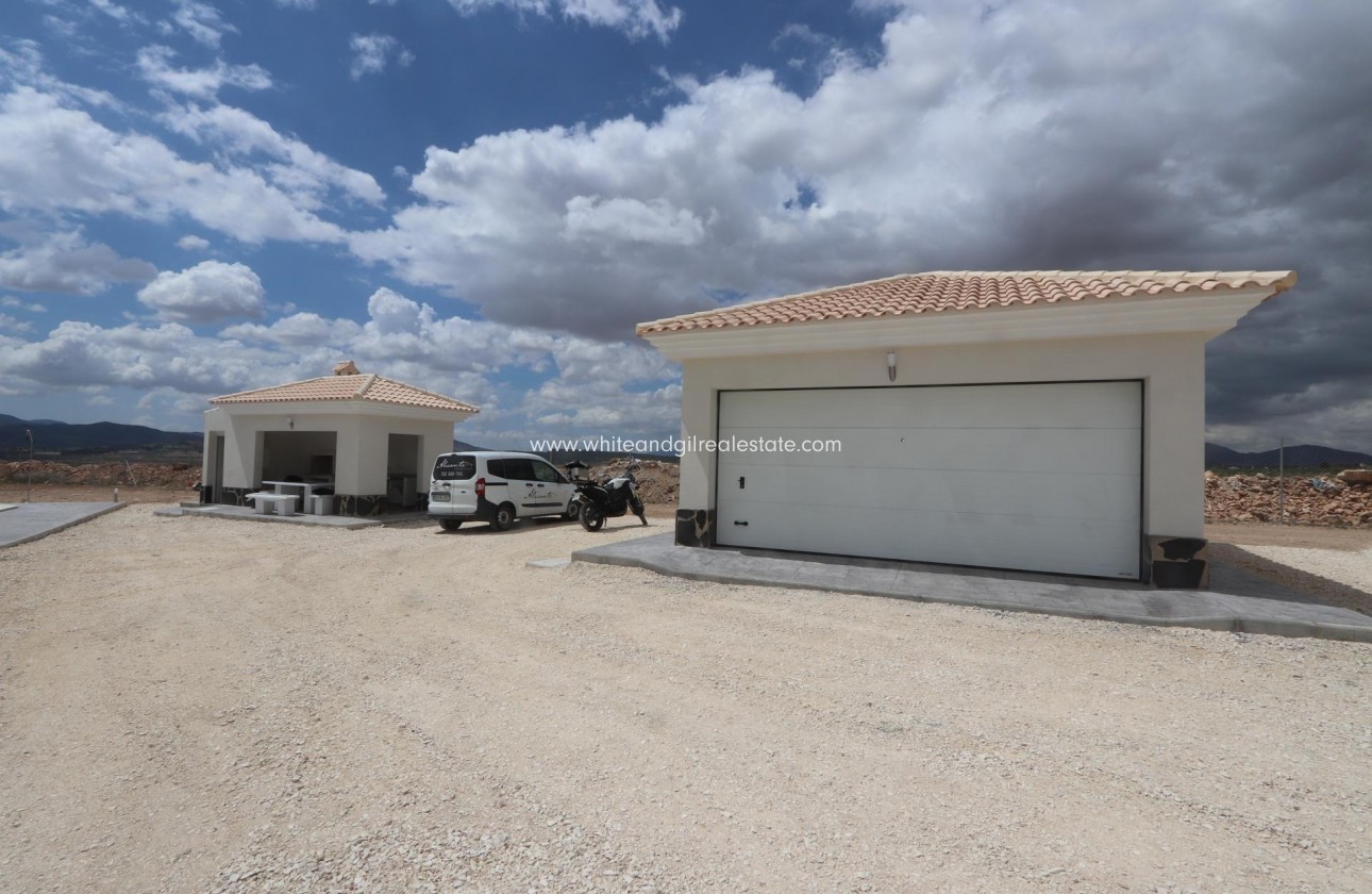 New Build - Villa  - Pinoso - Camino Del Prado