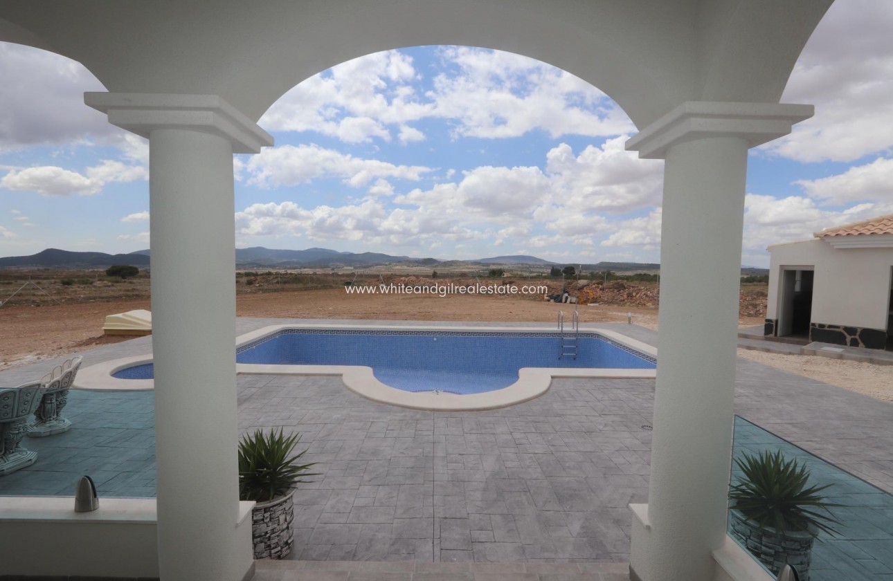New Build - Villa  - Pinoso - Camino Del Prado