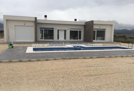 New Build - Villa  - Pinoso - Camino Del Prado