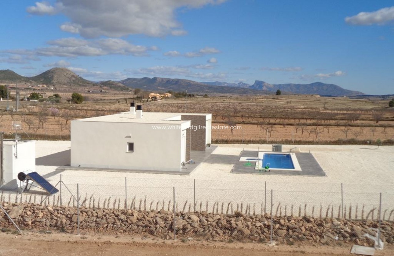 New Build - Villa  - Pinoso - Camino Del Prado