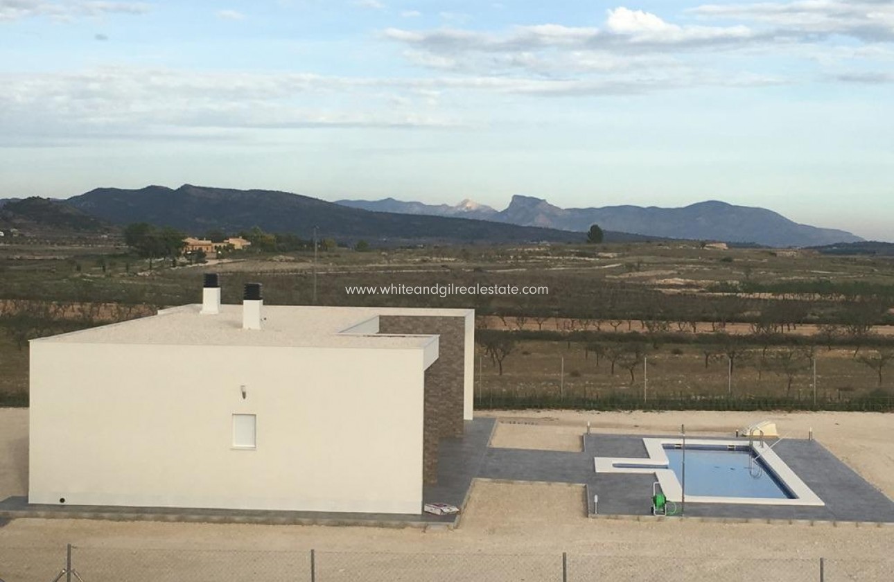 New Build - Villa  - Pinoso - Camino Del Prado