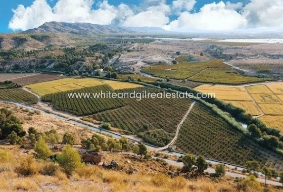 New Build - Villa  - Calasparra - Coto Riñales