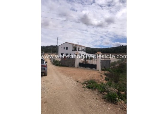 Sale - Villa  - Pinoso - Rural location