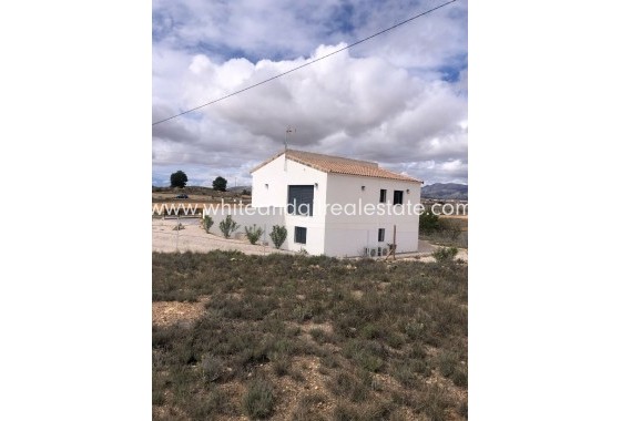 Sale - Villa  - Pinoso - Rural location