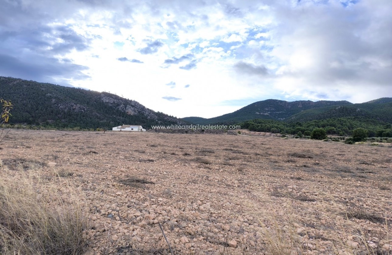 Sale - Country house  - Yecla - Rural location