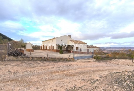 Sale - Country house  - Yecla - Rural location