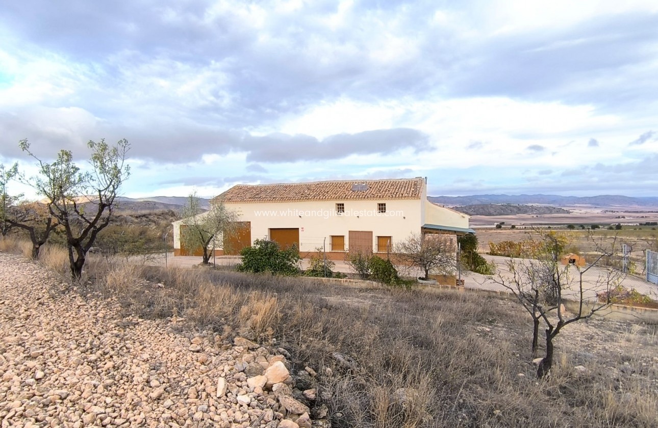 Sale - Country house  - Yecla - Rural location