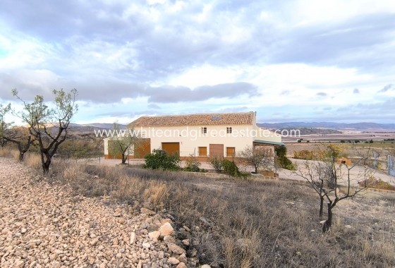Sale - Country house  - Yecla - Rural location