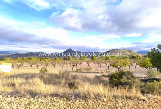 Sale - Country house  - Yecla - Rural location