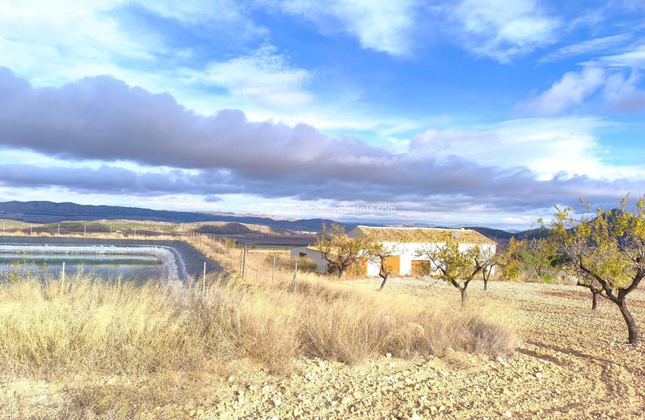 Sale - Country house  - Yecla - Rural location