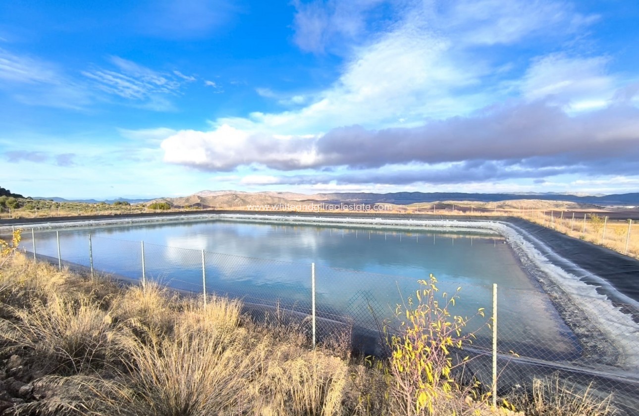 Sale - Country house  - Yecla - Rural location