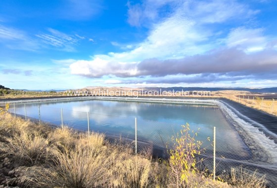 Sale - Country house  - Yecla - Rural location