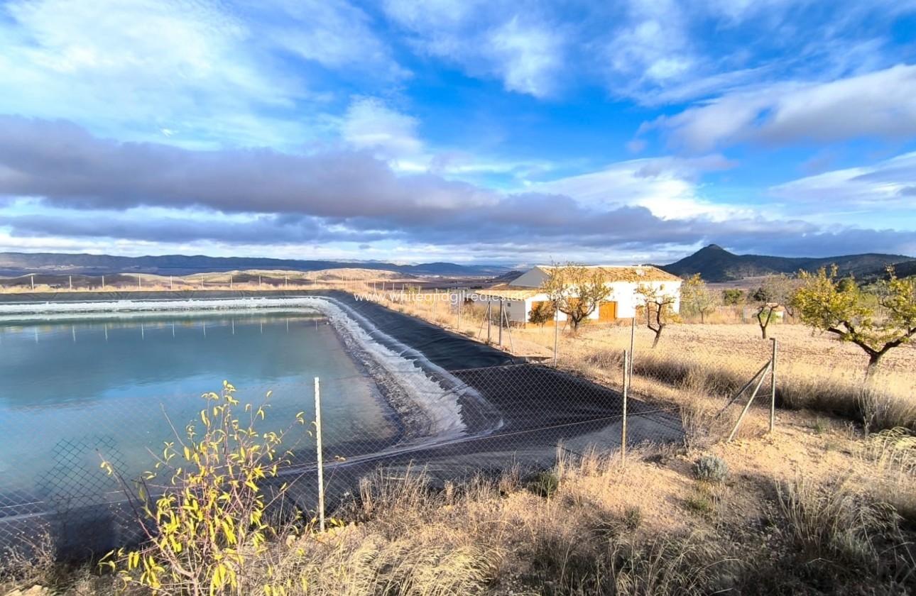 Sale - Country house  - Yecla - Rural location