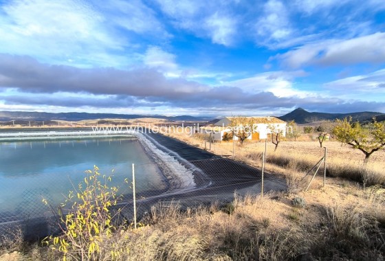 Sale - Country house  - Yecla - Rural location