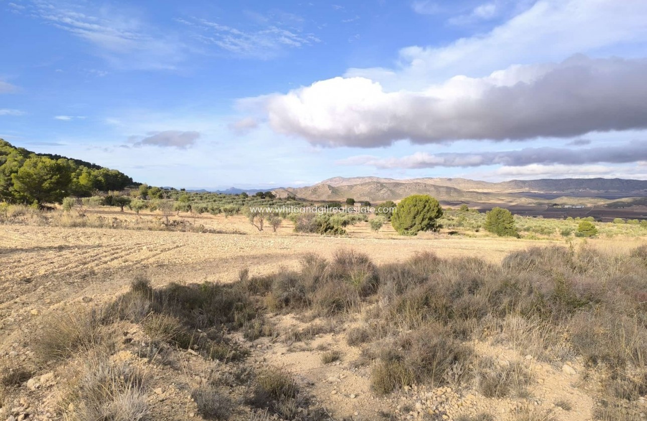 Sale - Country house  - Yecla - Rural location