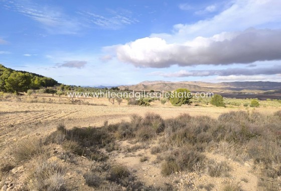 Sale - Country house  - Yecla - Rural location